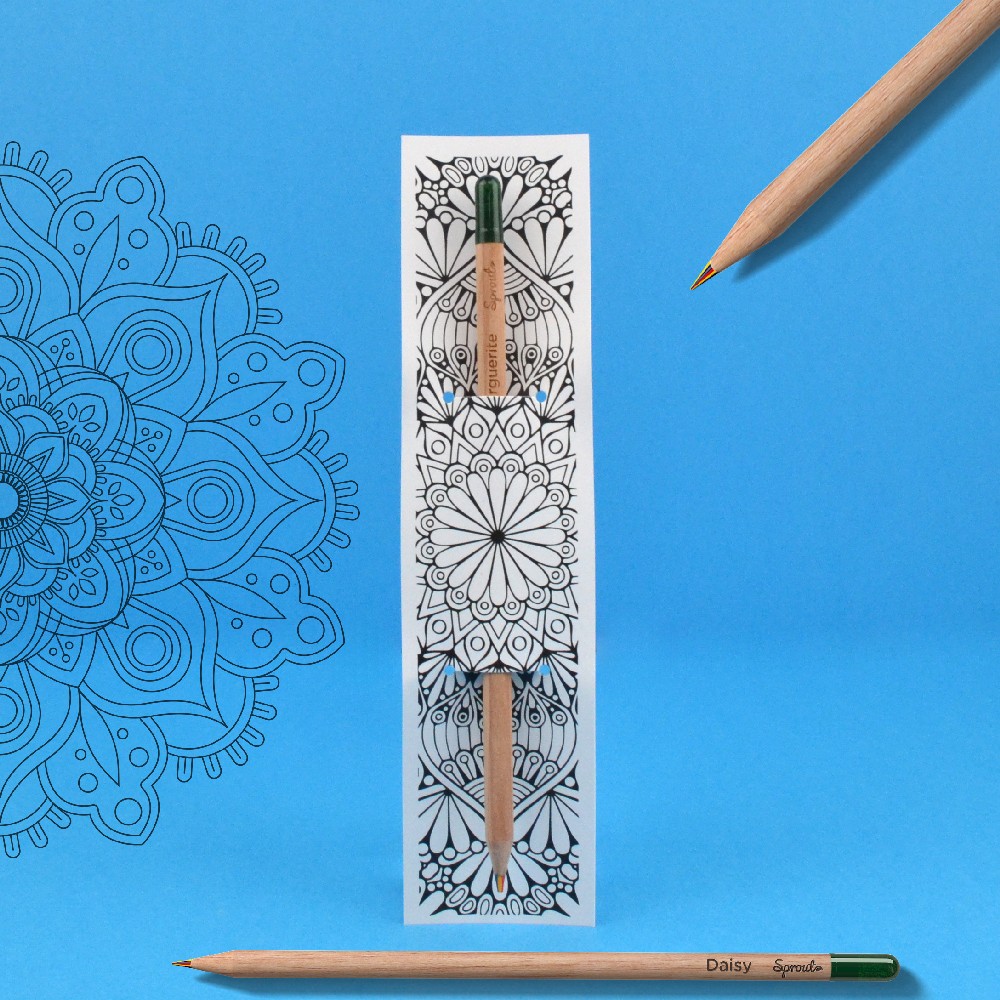 Crayon à graines