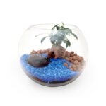 Terrarium personnalisable