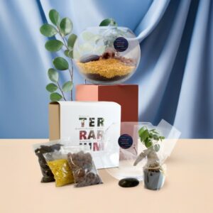 Terrarium personnalisable